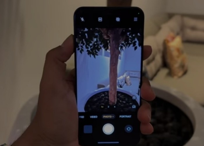 OnePlus 13s